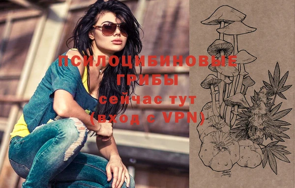 ПСИЛОЦИБИНОВЫЕ ГРИБЫ Липки